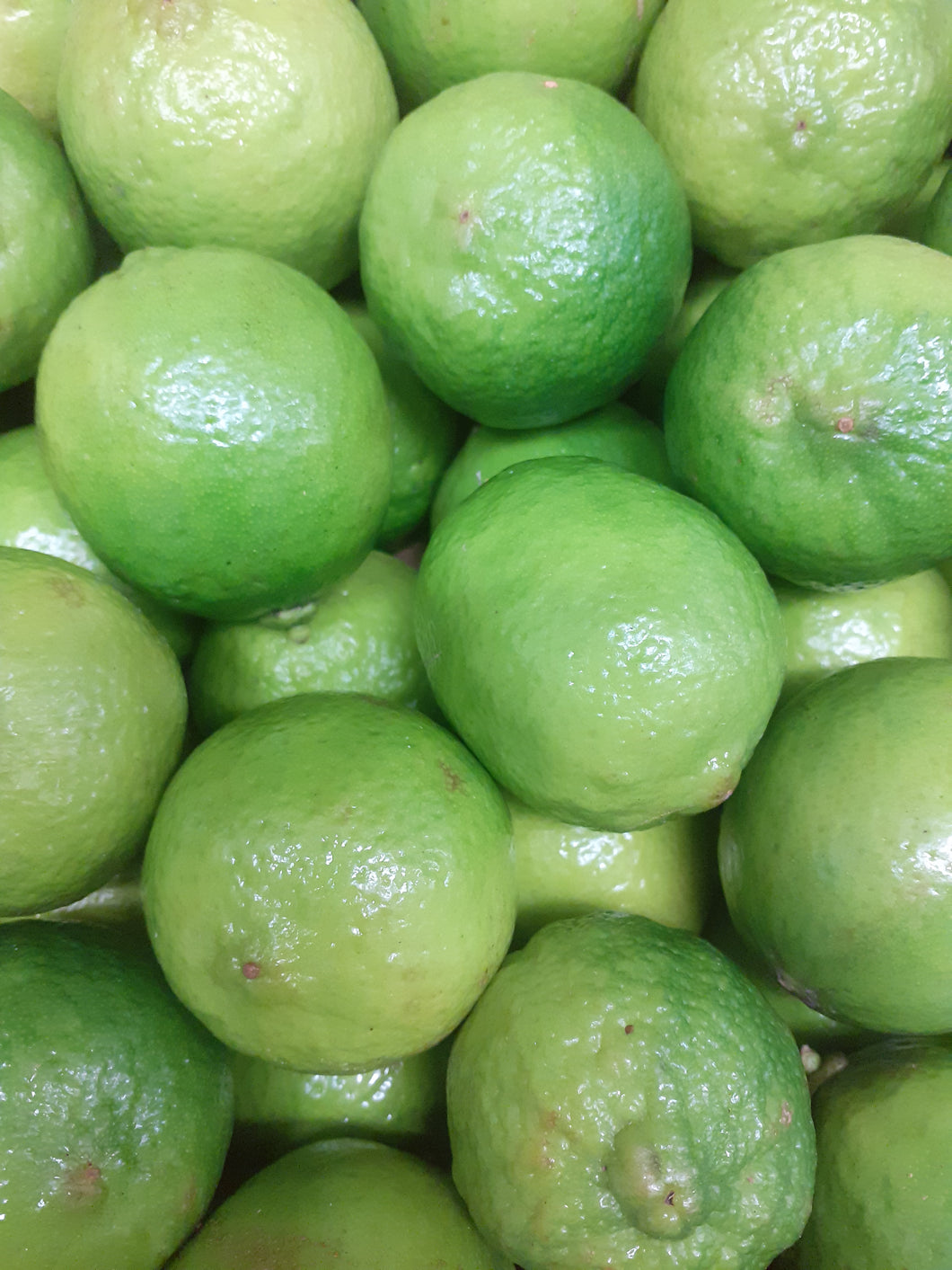 Limes (4)