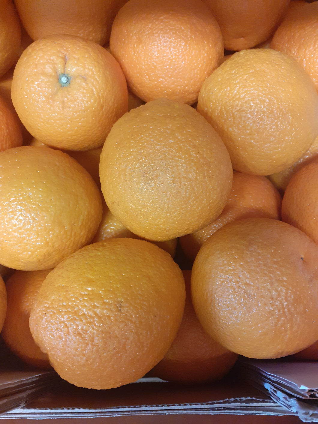 Oranges - Large (4)