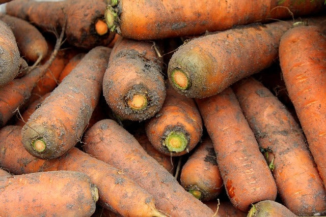 Carrots- Bunch dirty
