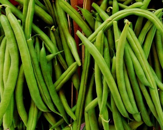 Beans - Fine Green (250g)