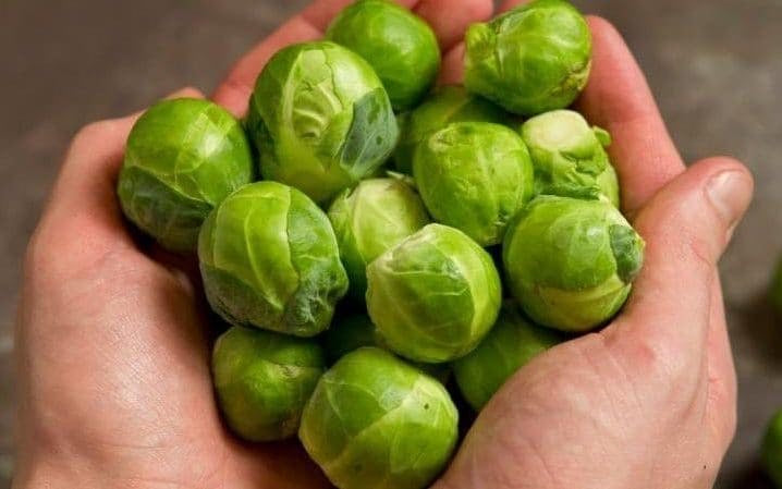 Brussel Sprouts (750g loose)