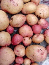Load image into Gallery viewer, Potatoes Kerrs Pinks- 2, 5 or 10kg
