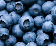 Blueberries (113gr)