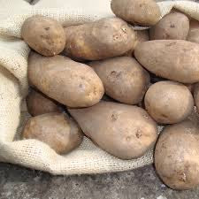 Potatoes Golden wonder 2.5kg , 5kg ,10kg