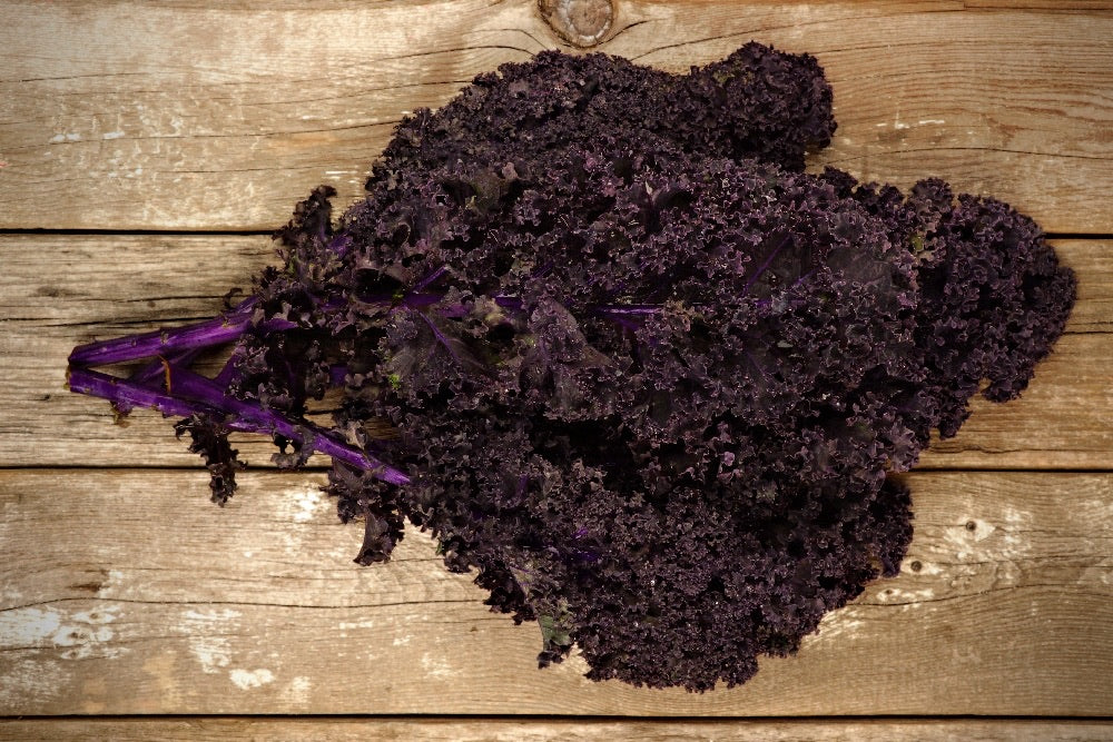 Kale - Red (Bunch)
