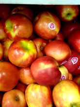 Load image into Gallery viewer, Apples- Pink lady
